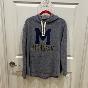 Michigan Gray Hoodie Sweatshirt